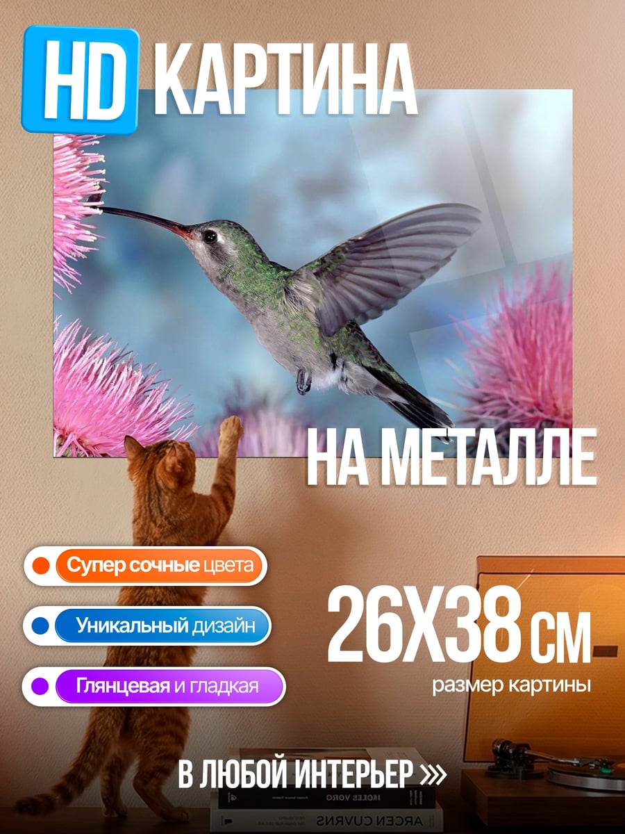 Картина на металле Колибри и чертополох