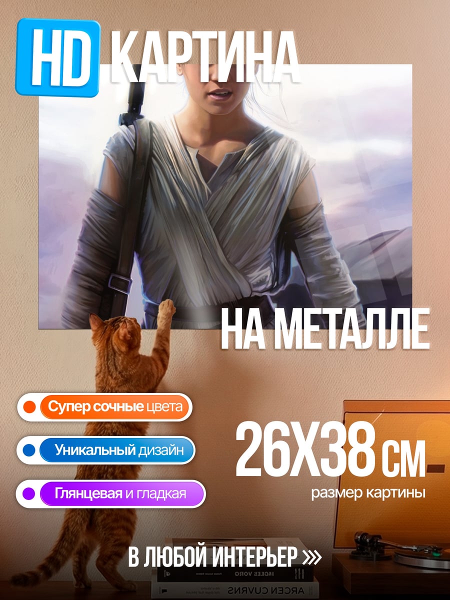 Картина на металле Рей Звездные Войны