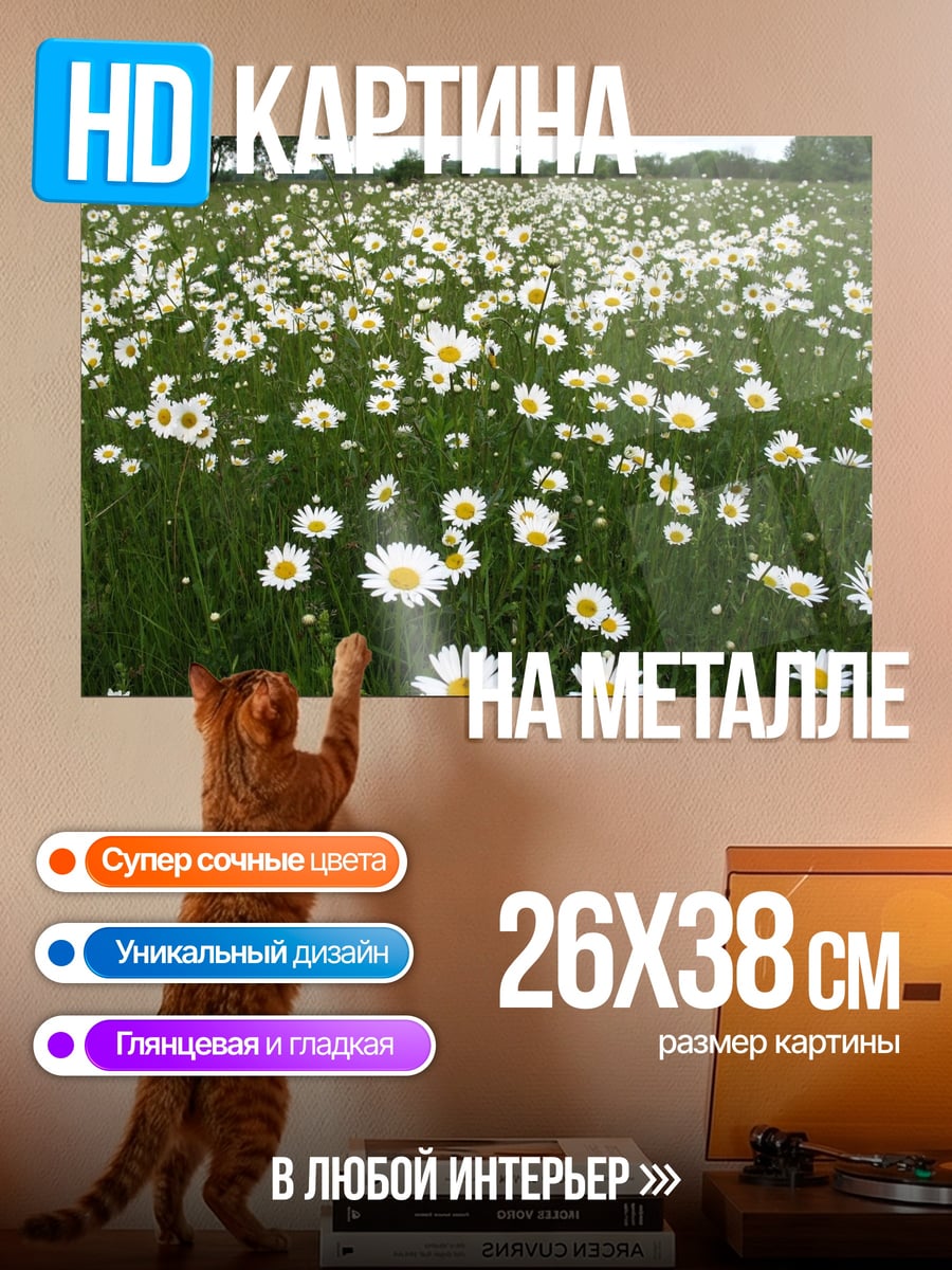 Картина на металле Поле ромашек