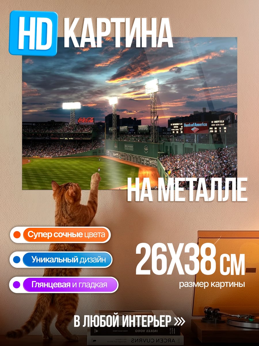 Картина на металле Стадион на закате