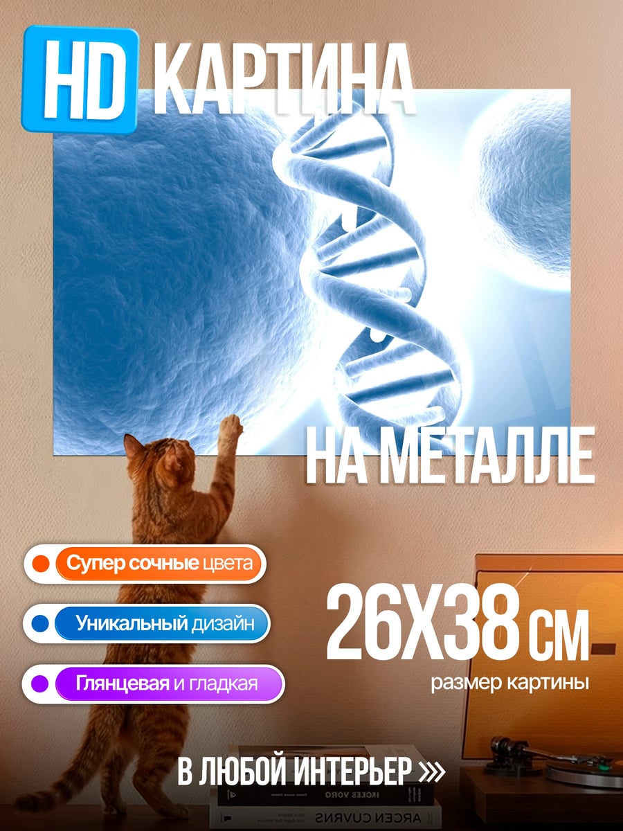 Картина на металле ДНК спираль клетки