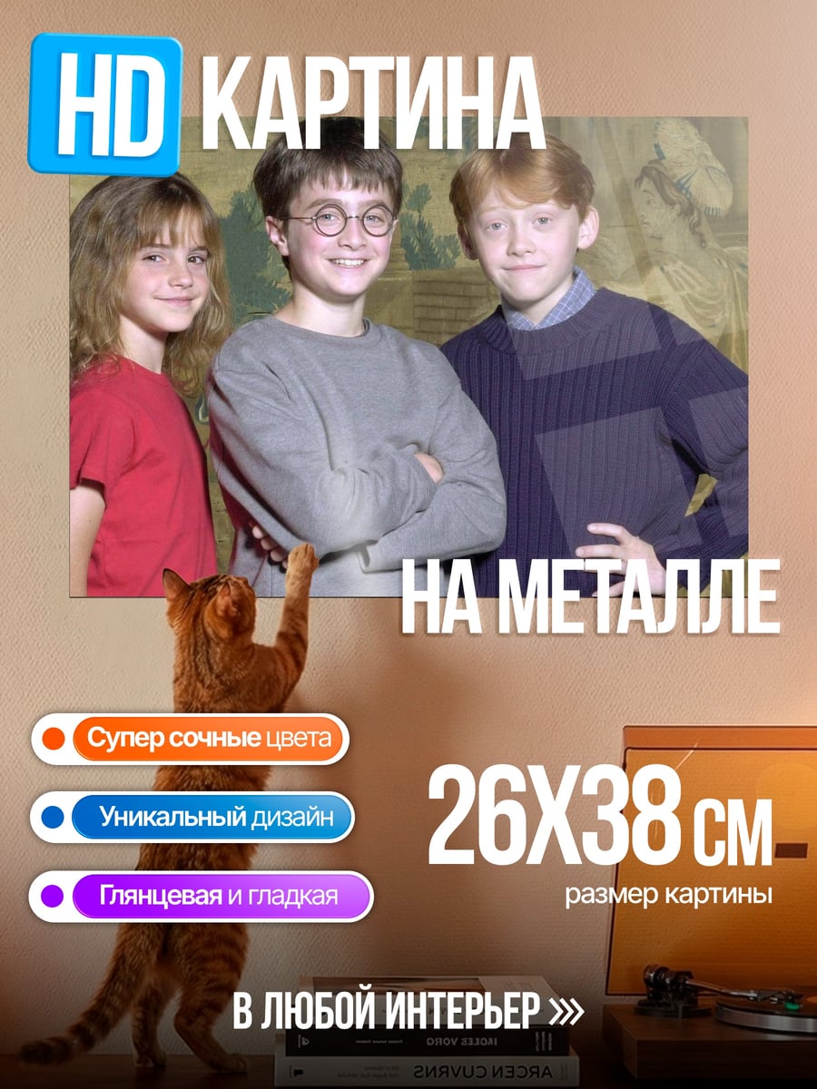 Картина на металле Гарри Поттер троица