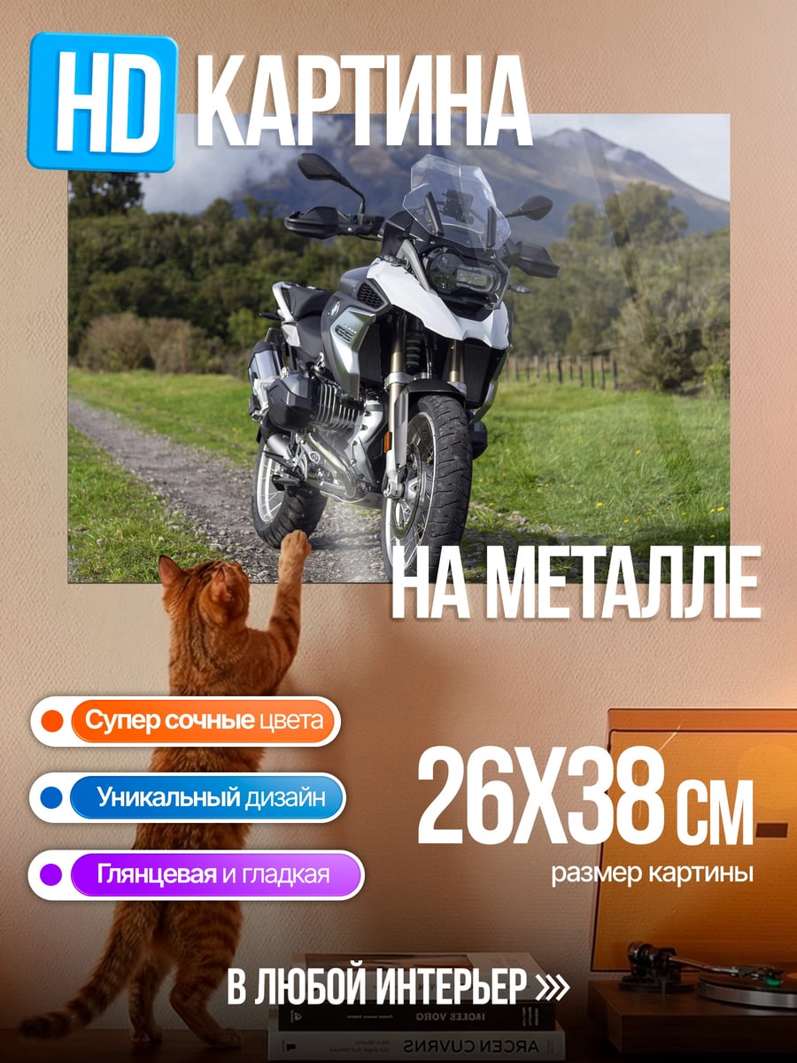 Картина на металле Мотоцикл в горах