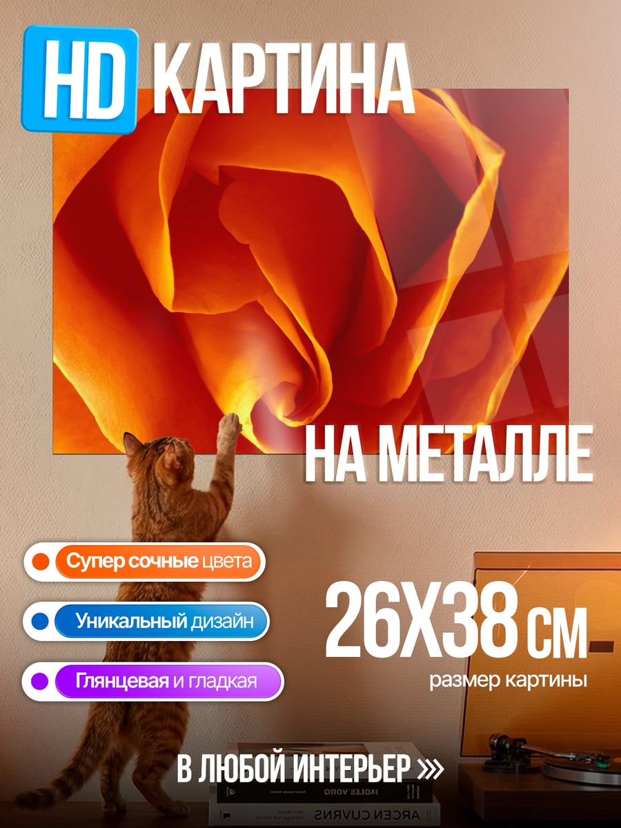 Картина на металле оранжевая роза