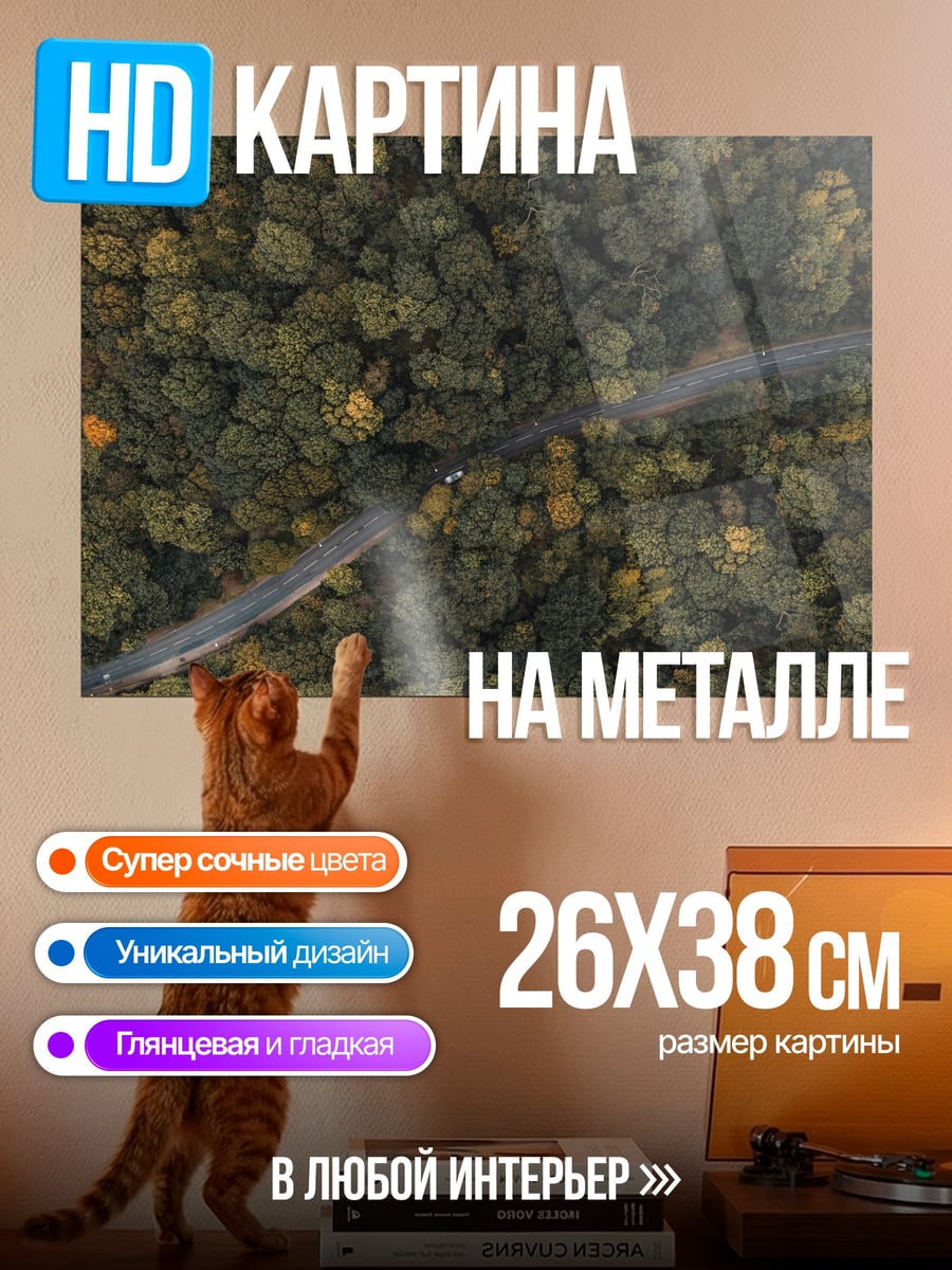 Картина на металле дорога лес