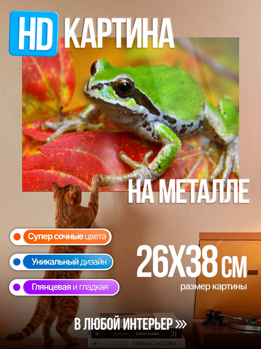 Картина на металле Зеленая лягушка на листьях