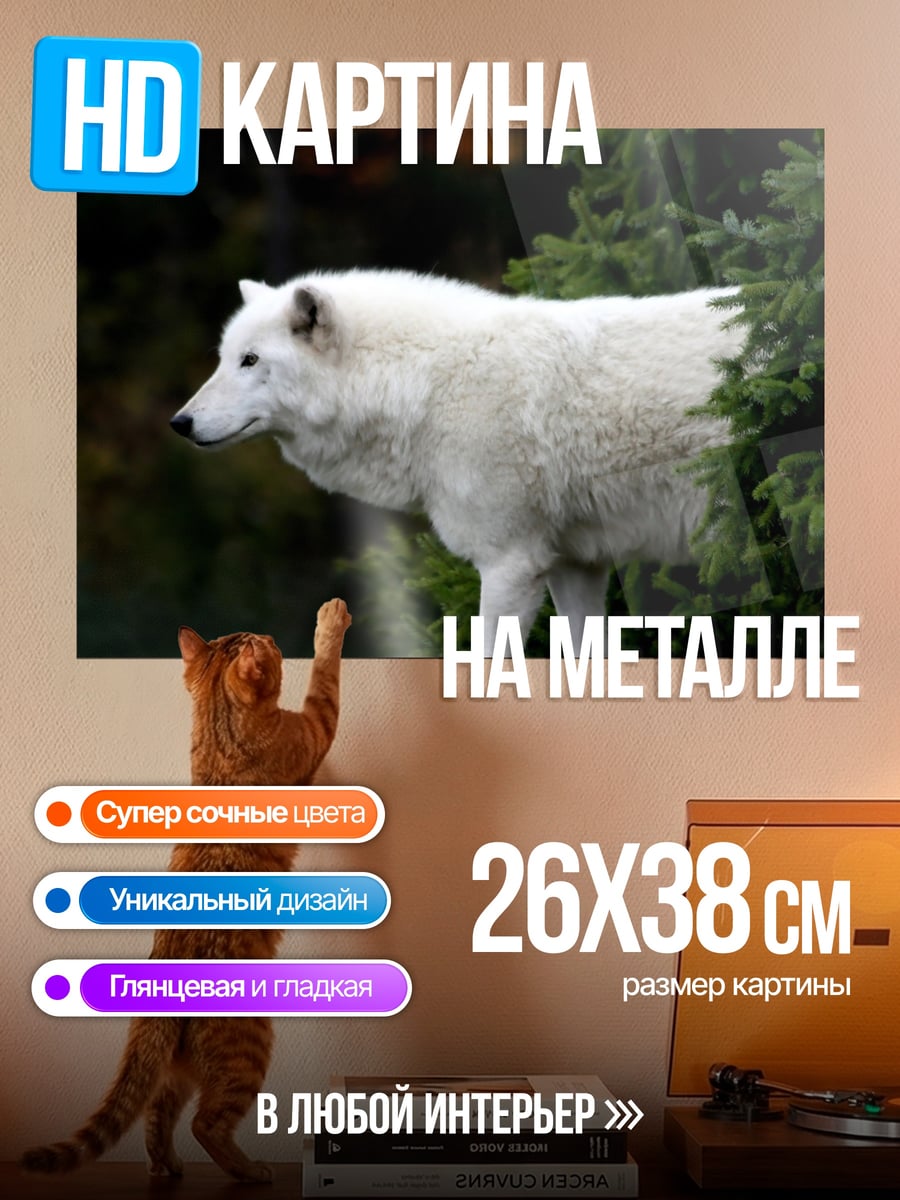 Картина на металле Белый волк