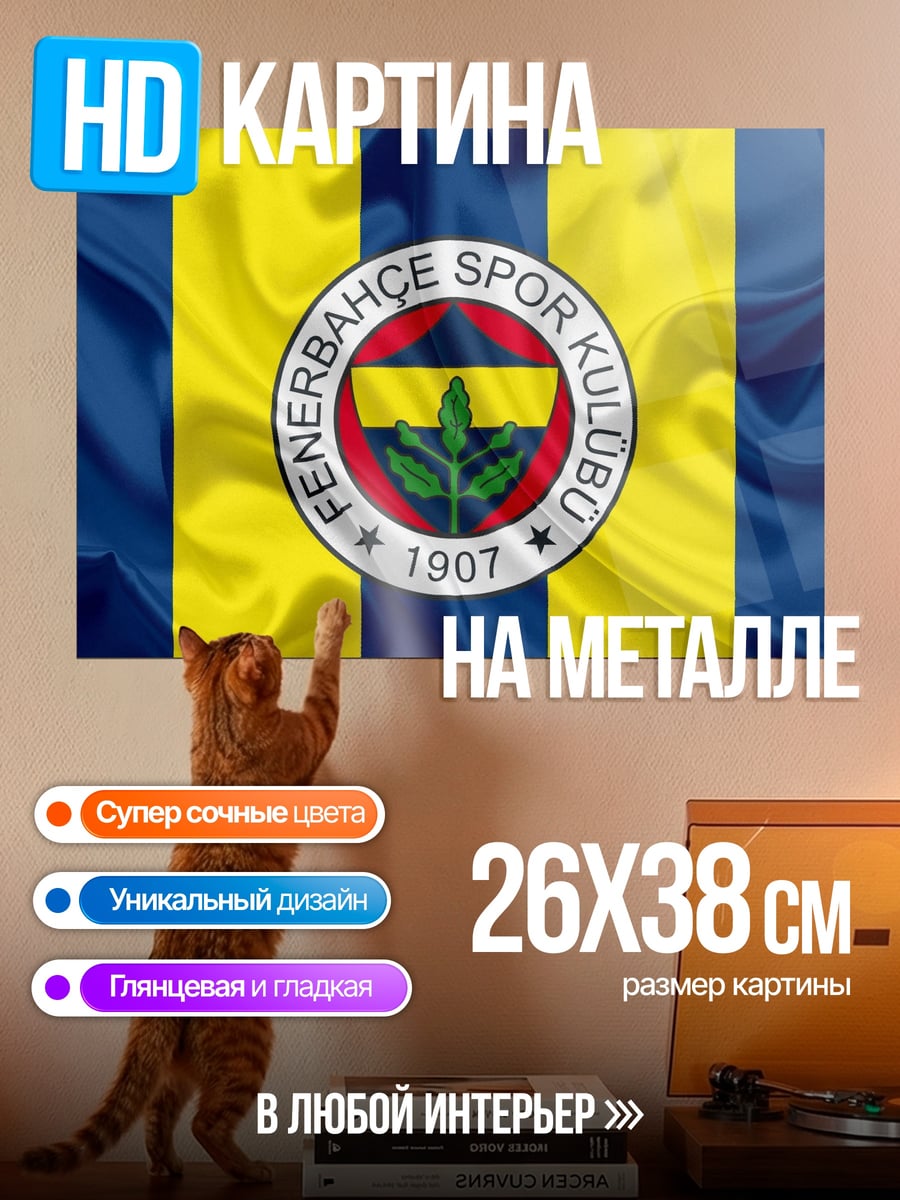 Картина на металле Фенербахче