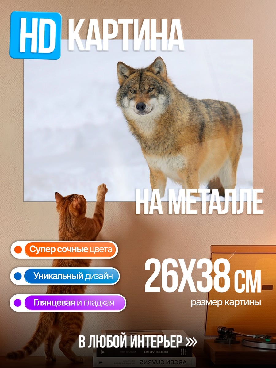 Картина на металле Волк в снегу
