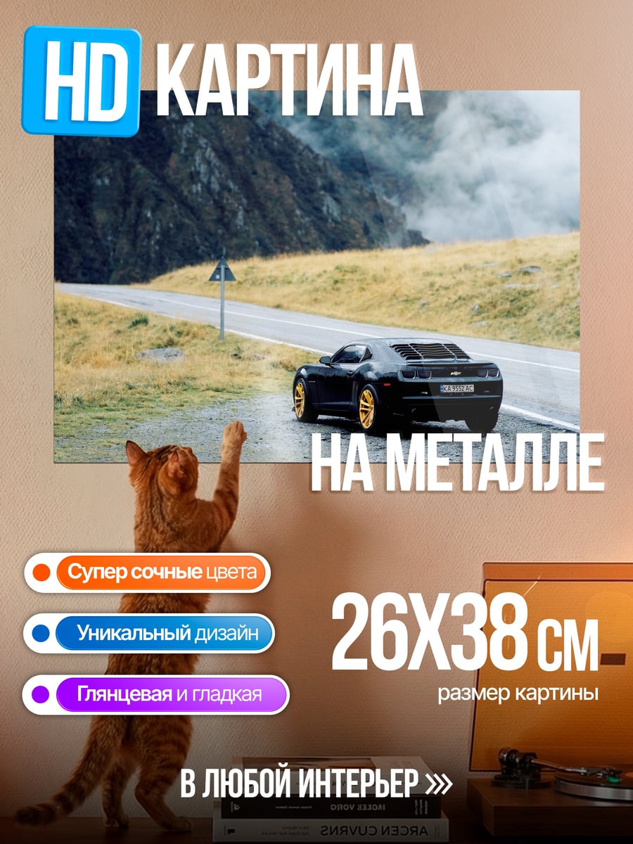 Картина на металле Черный спорткар