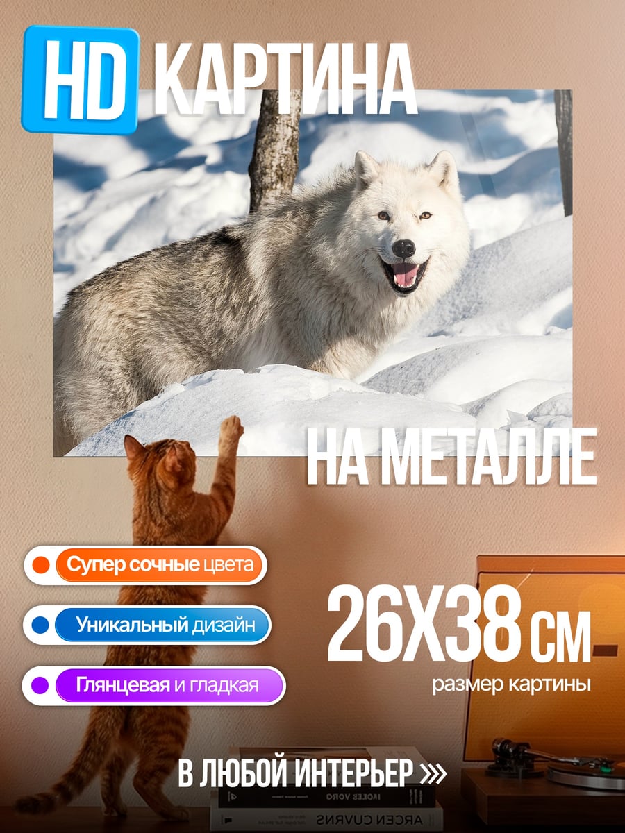 Картина на металле Белый волк