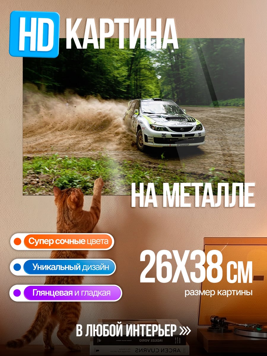 Картина на металле раллийная машина в грязи