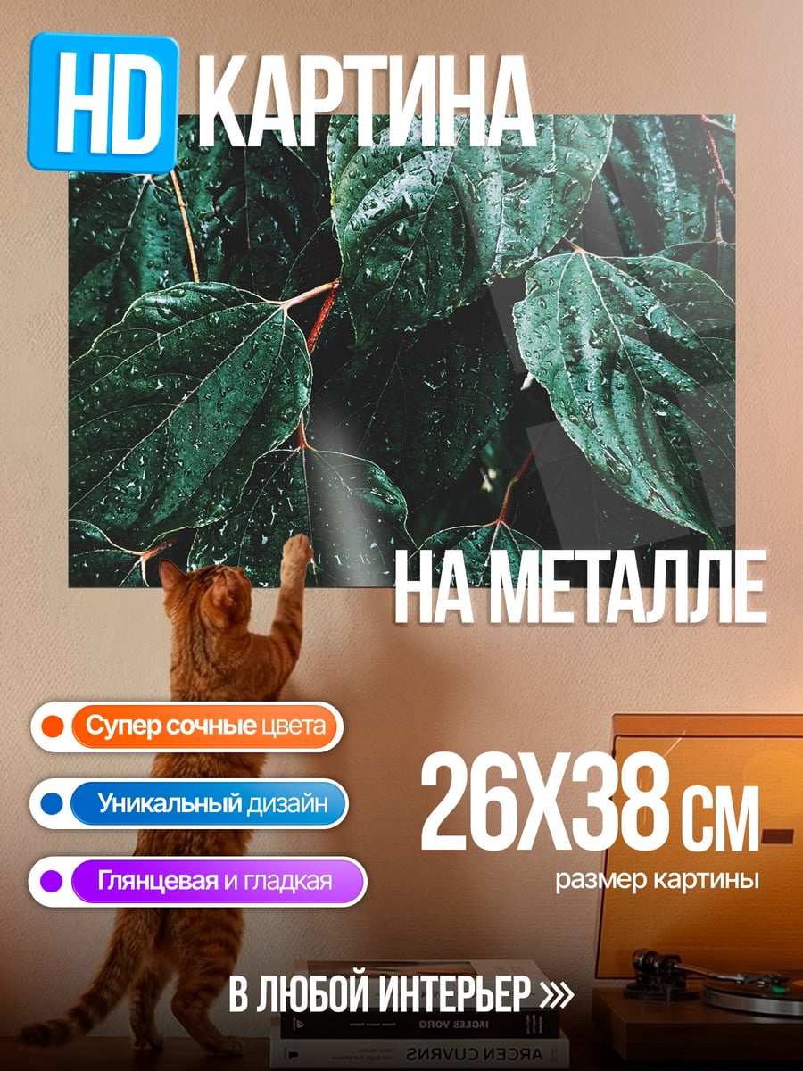 Картина на металле зеленые листья с каплями