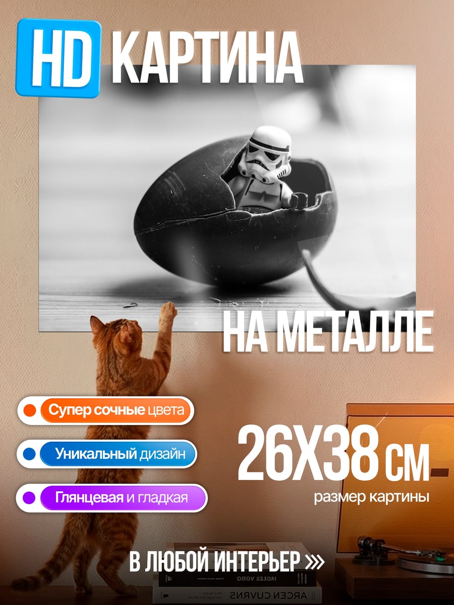 Картина на металле Штурмовик в яйце