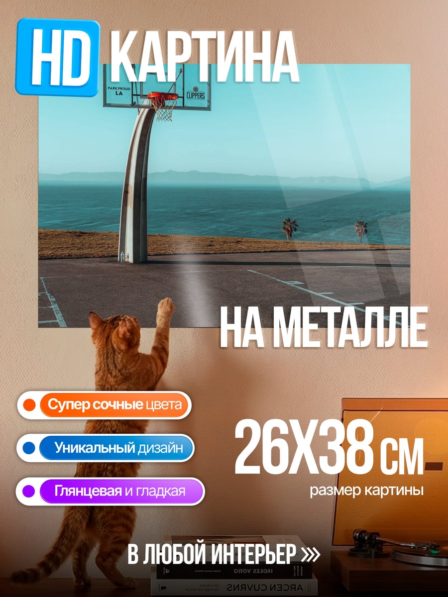 Картина на металле Баскетбольная площадка у моря