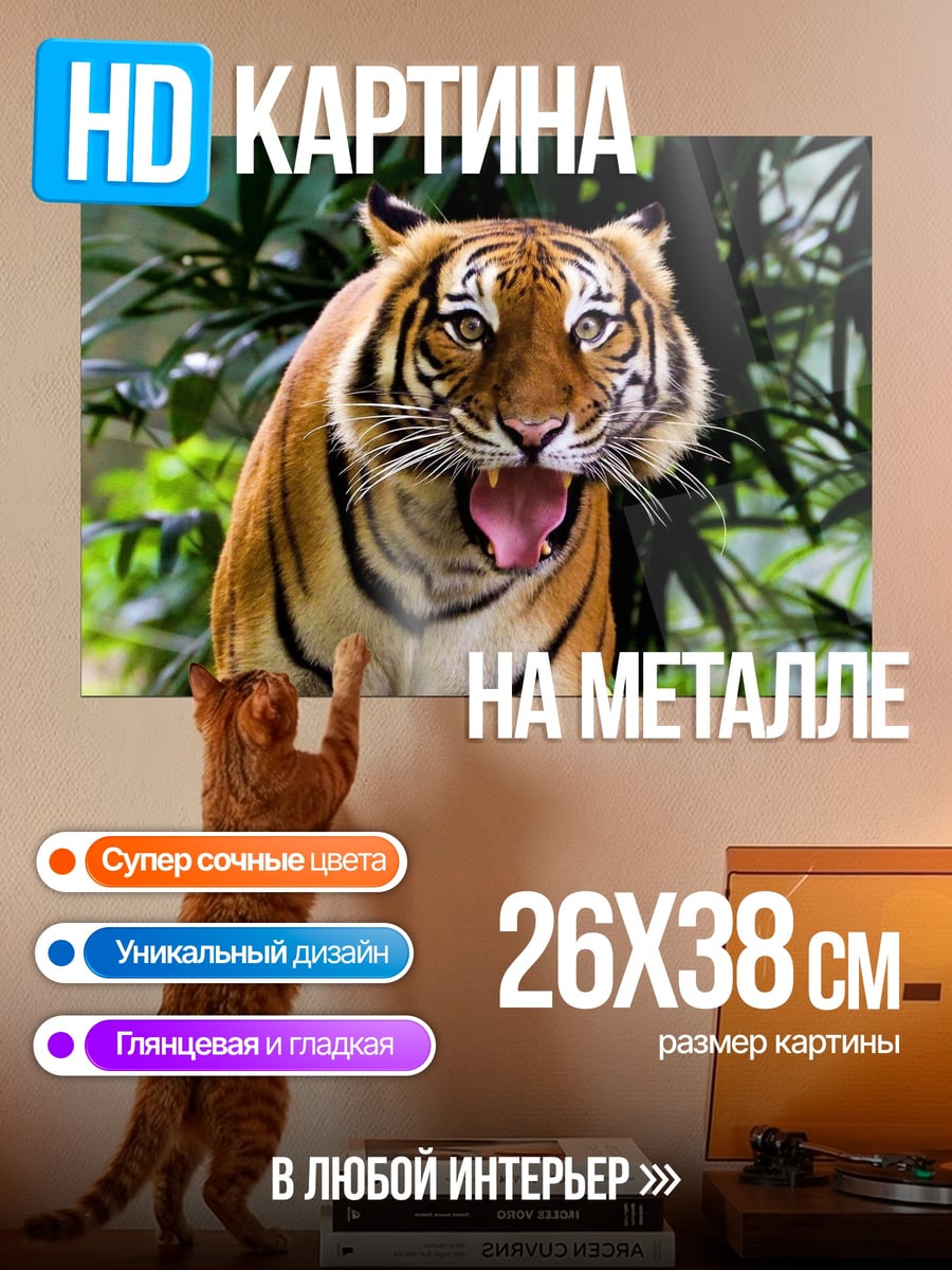 Картина на металле Рычащий бенгальский тигр