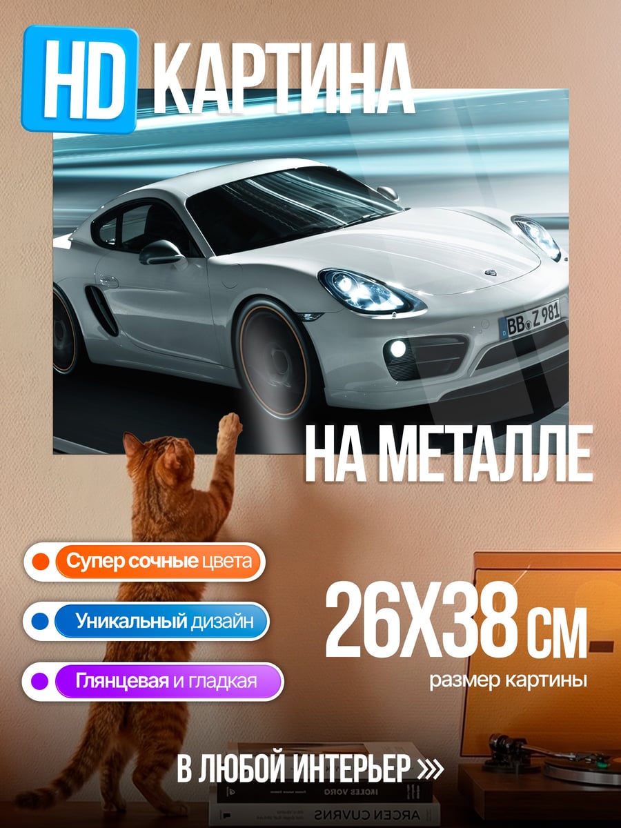 Картина на металле Белый спорткар