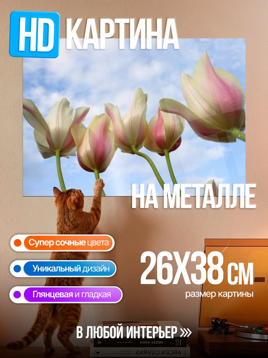Картина на металле Розовые тюльпаны