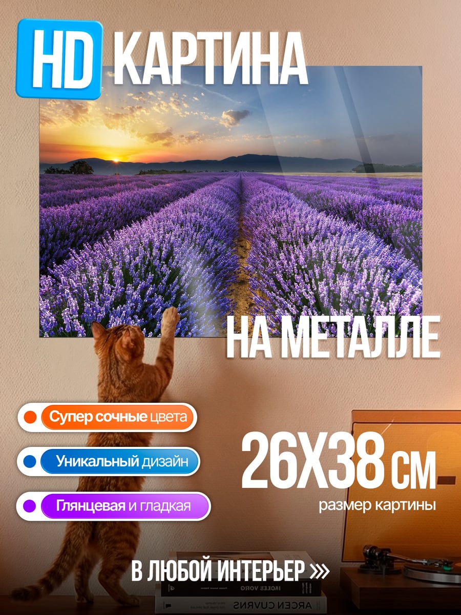 Картина на металле Лавандовое поле на закате
