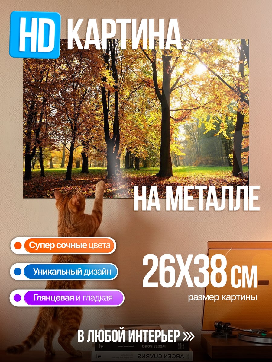 Картина на металле Осенний лес солнечный день