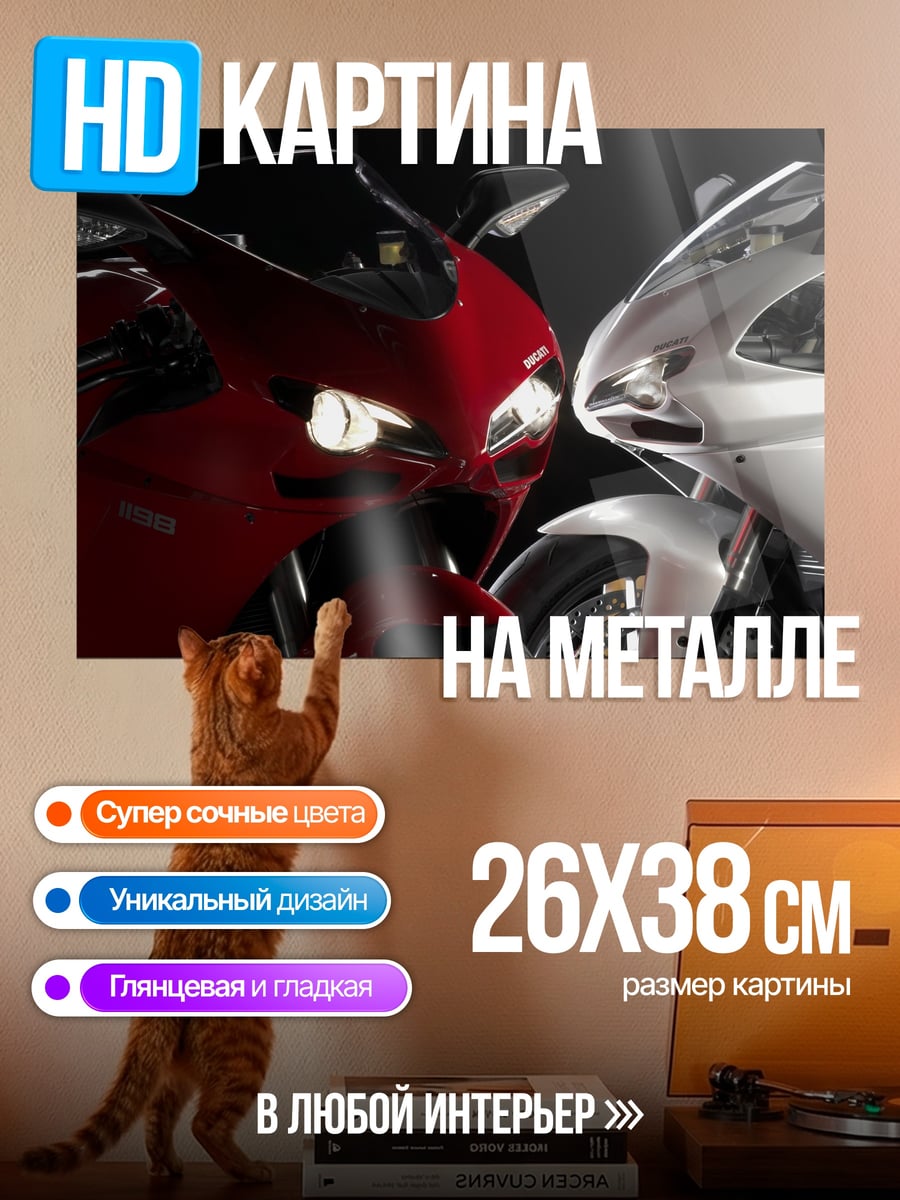 Картина на металле Два спортивных мотоцикла
