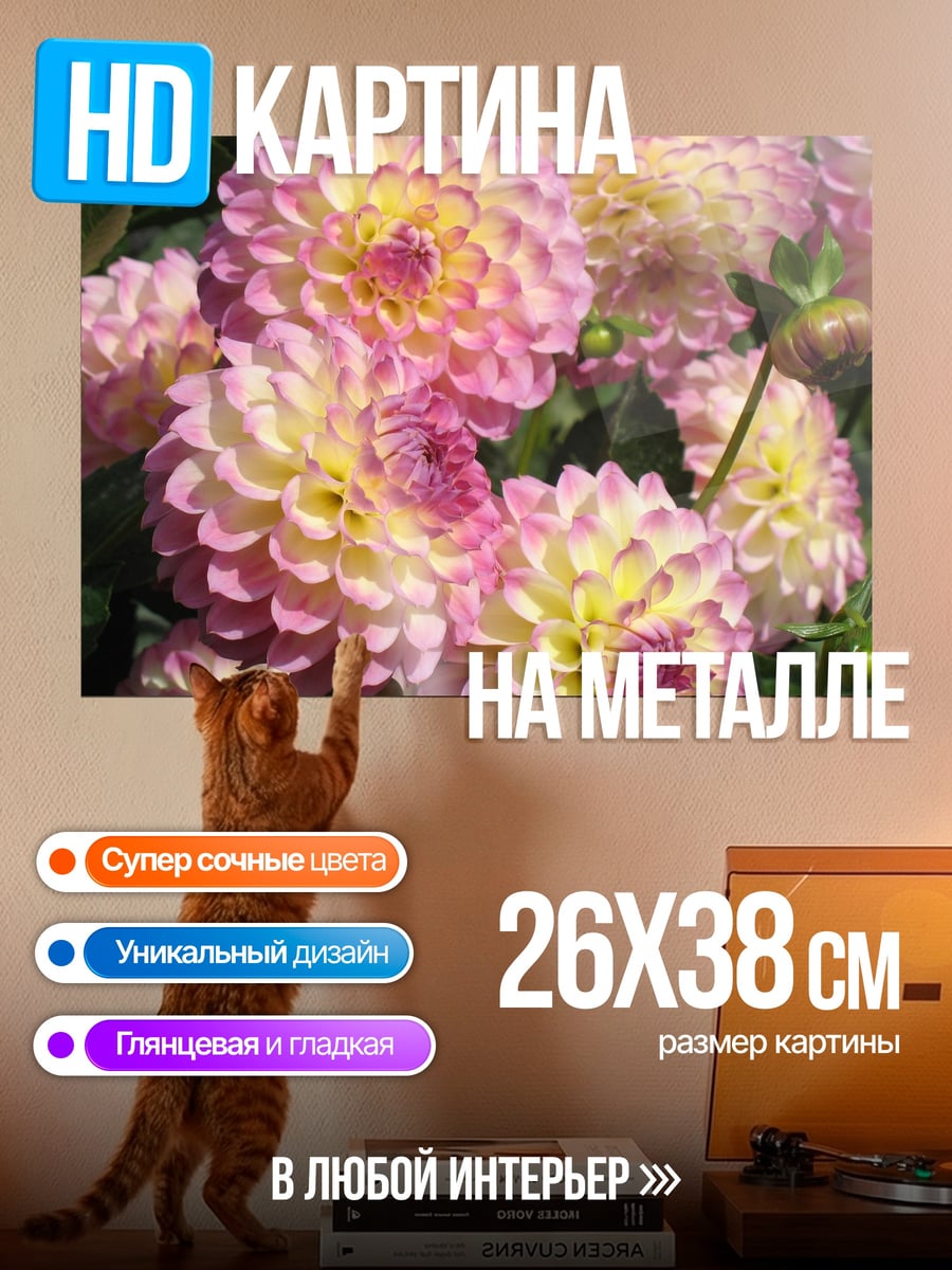 Картина на металле Розовые георгины