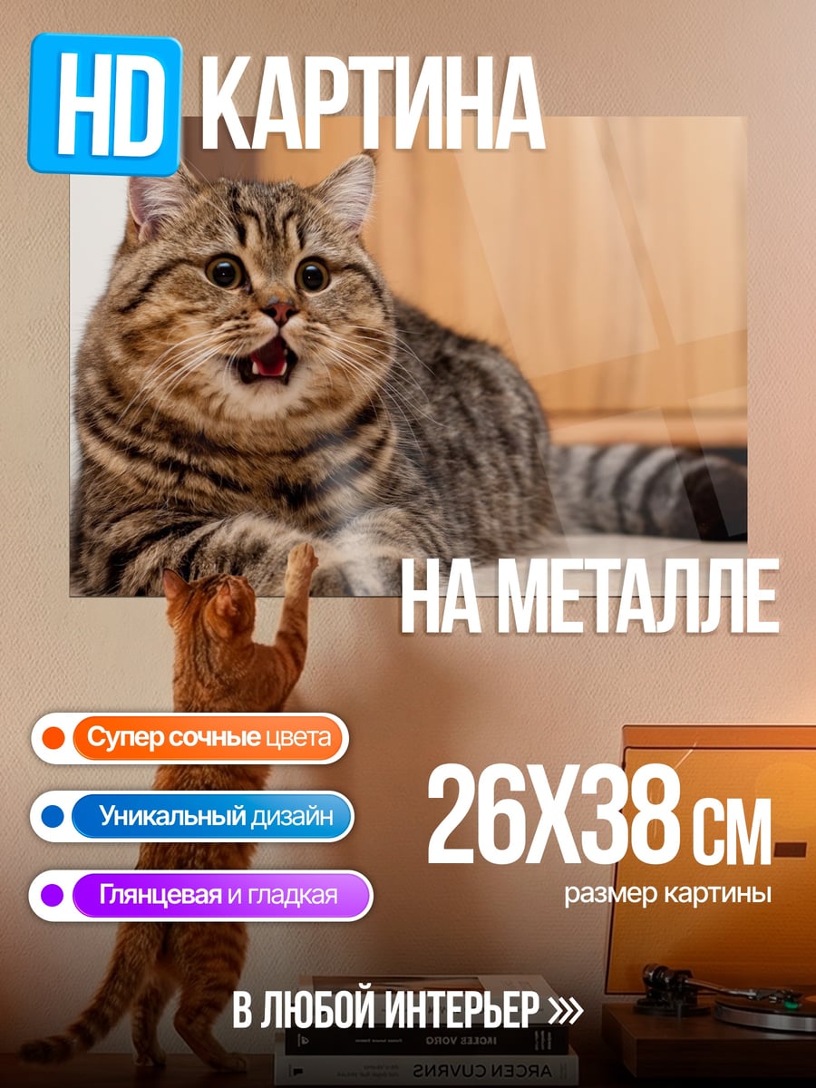 Картина на металле зевающий кот