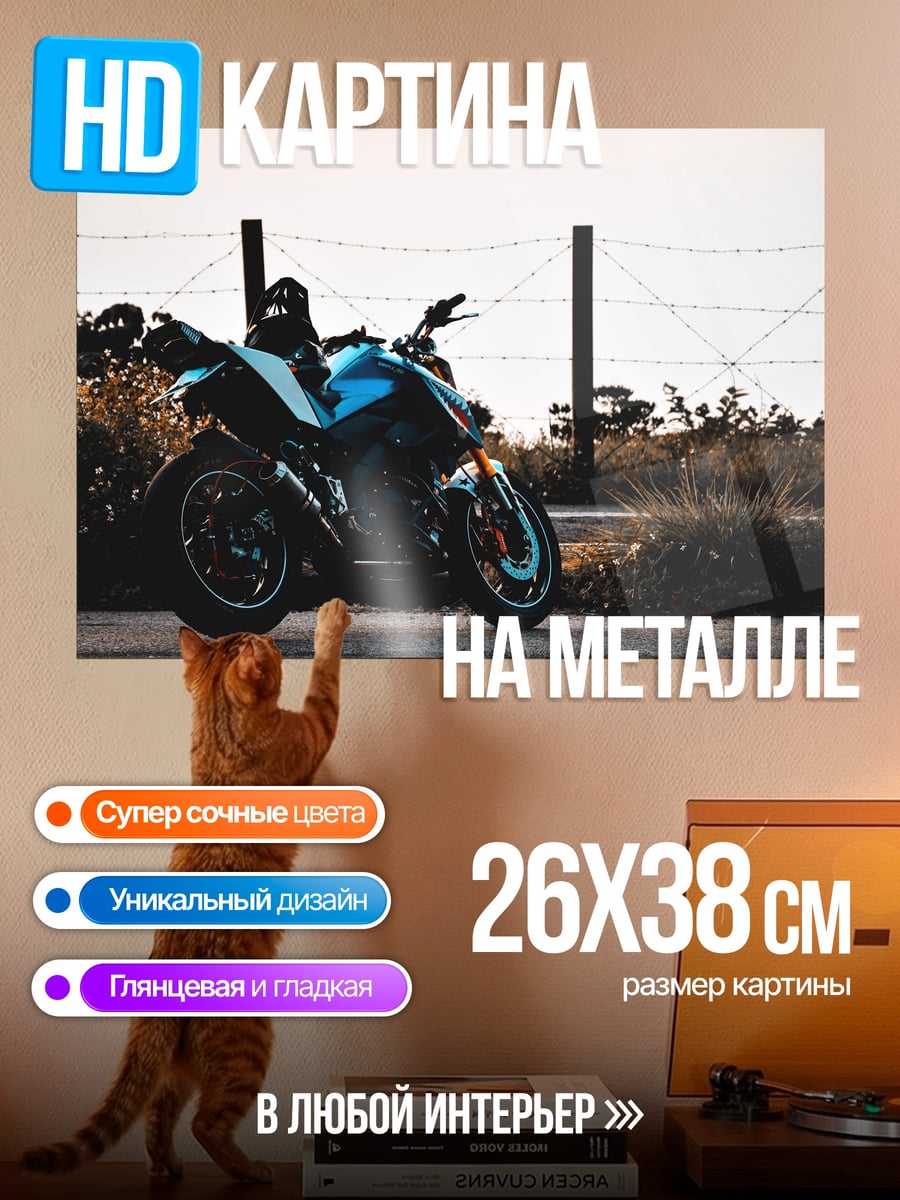 Картина на металле мотоцикл на дороге