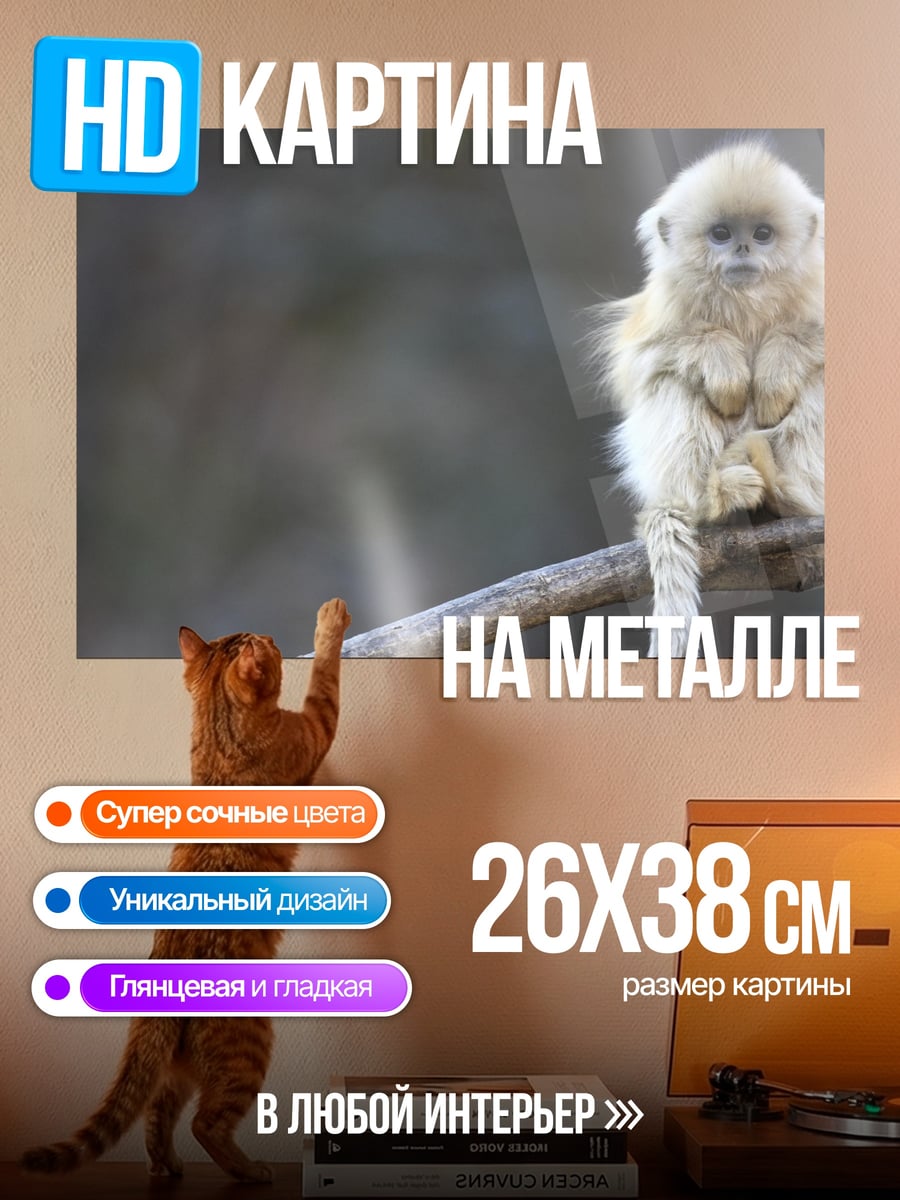 Картина на металле детеныш обезьяны
