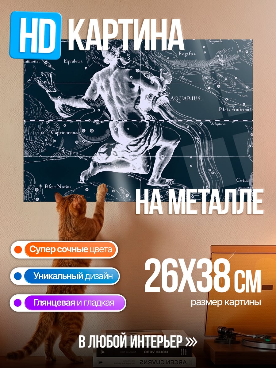 Картина на металле Водолей созвездие