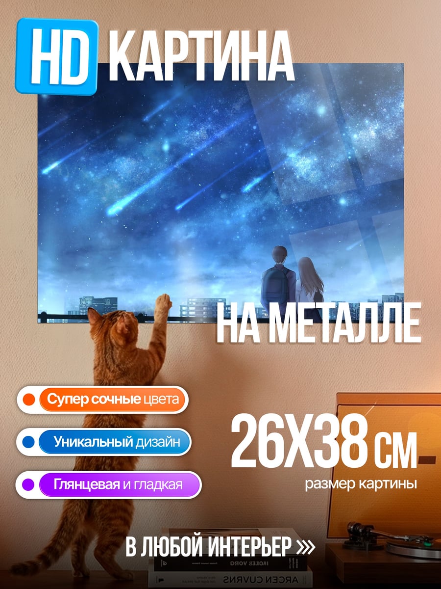 Картина на металле Пара смотрит на звезды