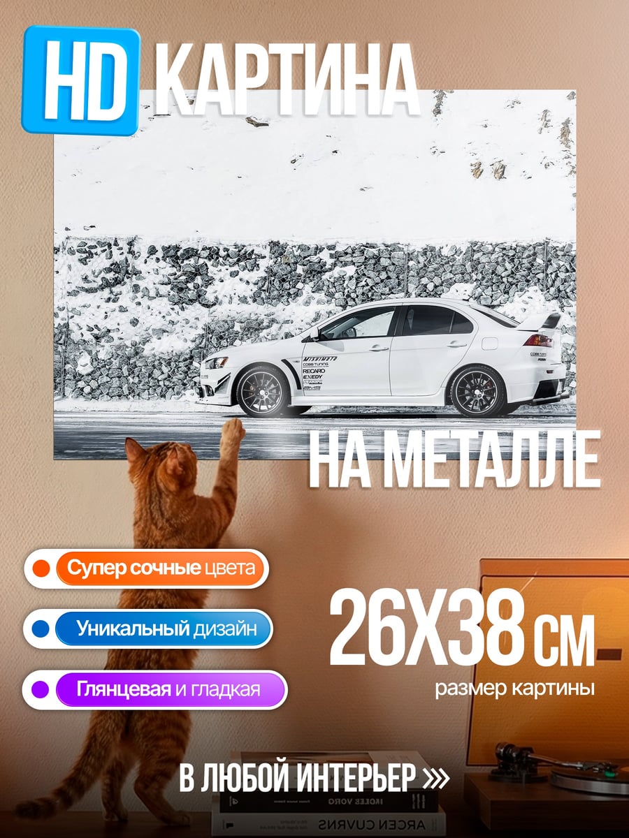 Картина на металле Белый Evo Зима
