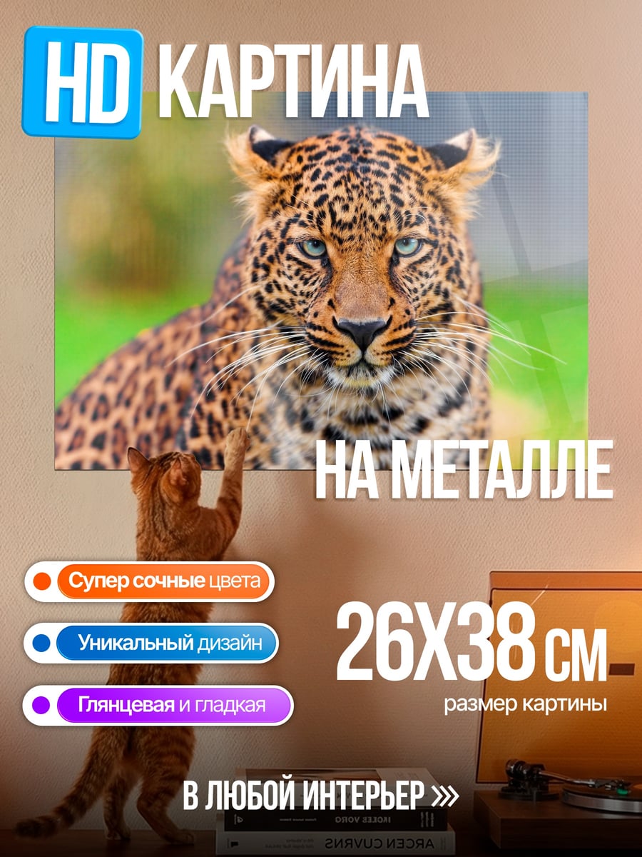 Картина на металле Леопард в природе