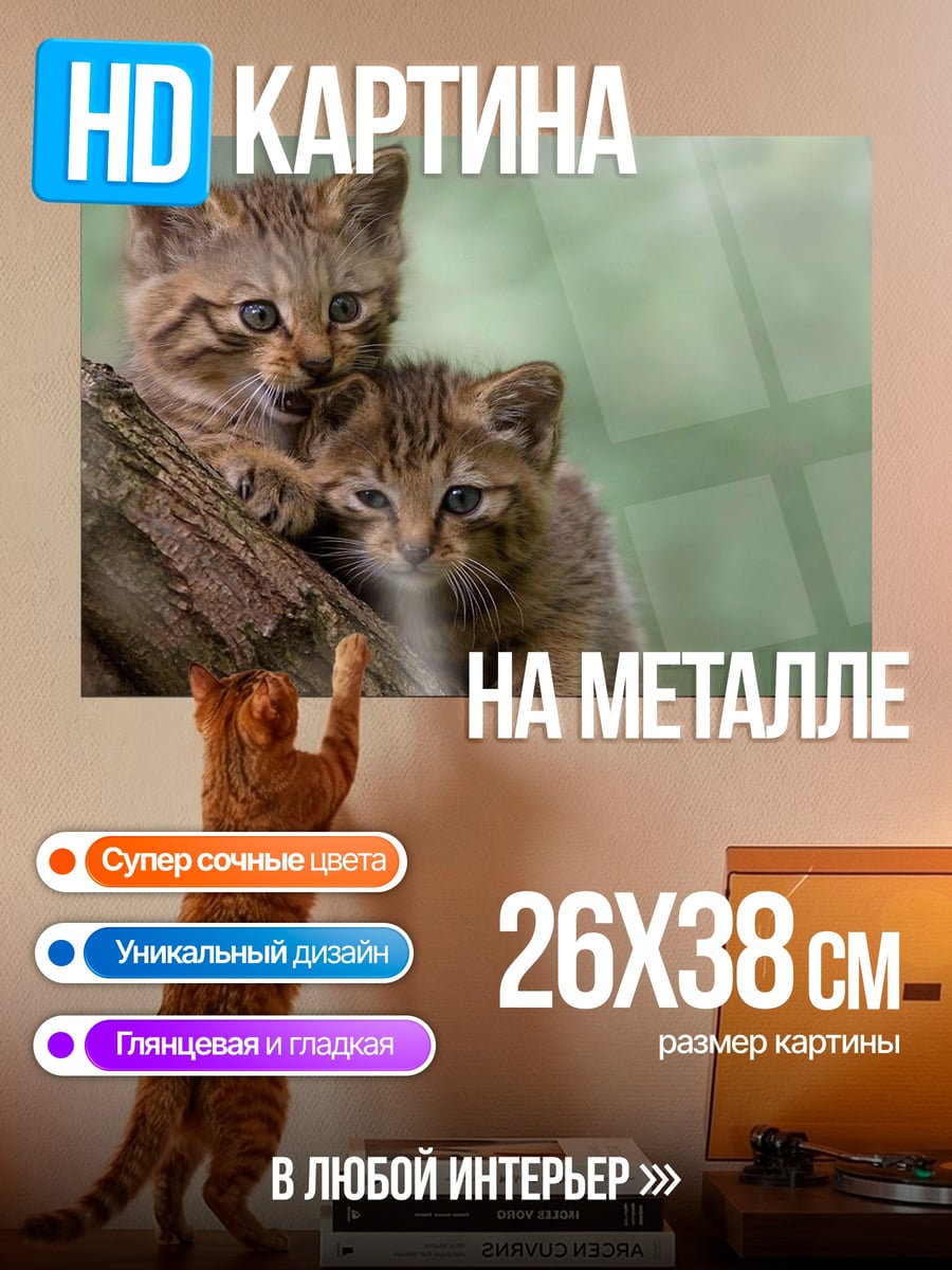 Картина на металле Два диких котенка