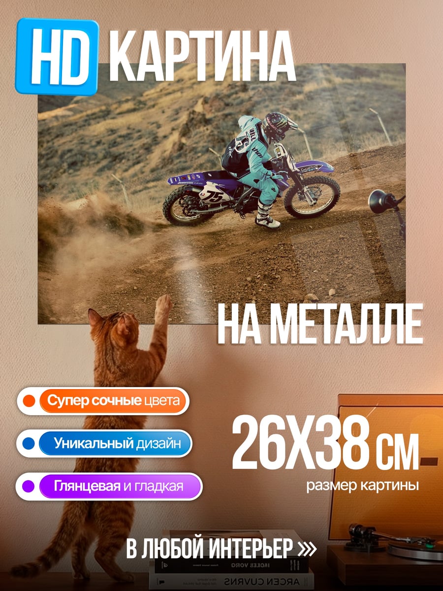 Картина на металле Мотокросс гонщик