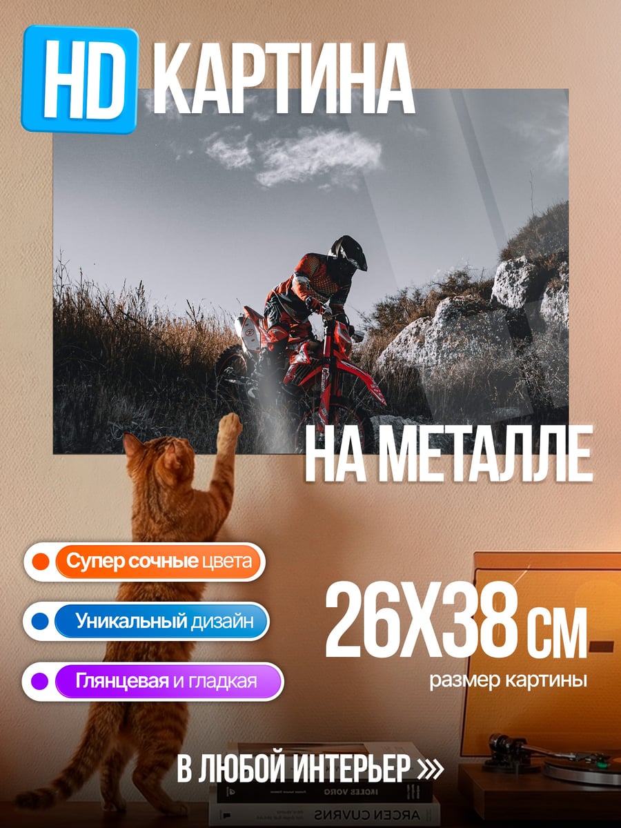 Картина на металле Мотоциклист в горах