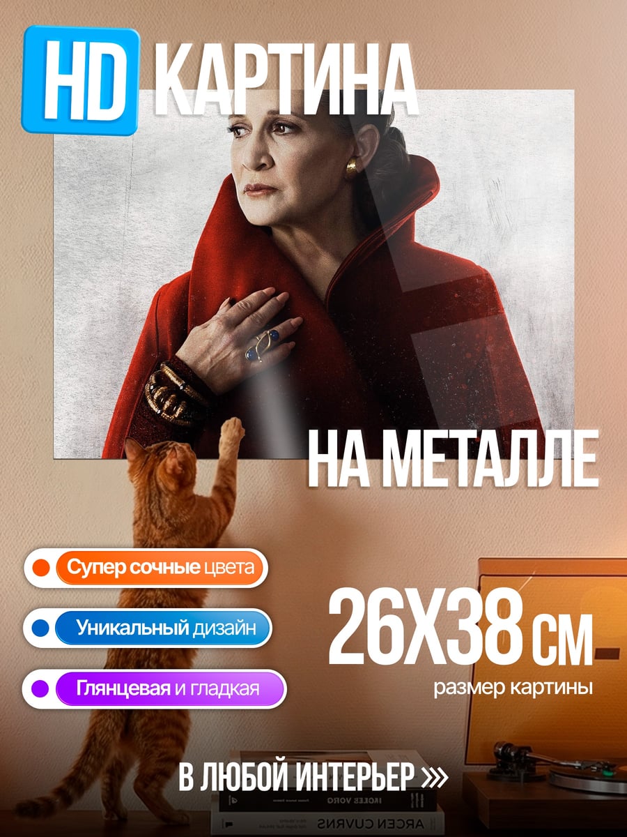 Картина на металле Принцесса Лея