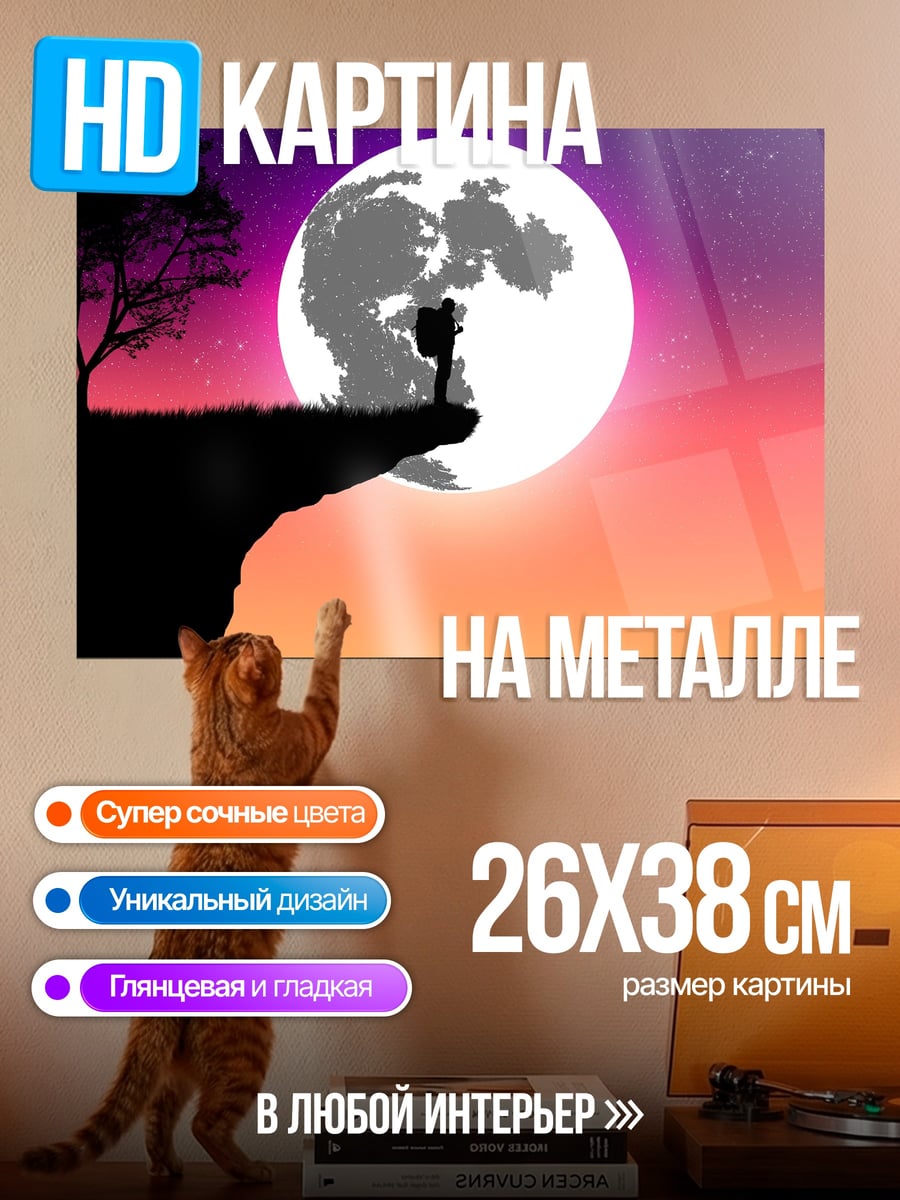 Картина на металле Пара на скале