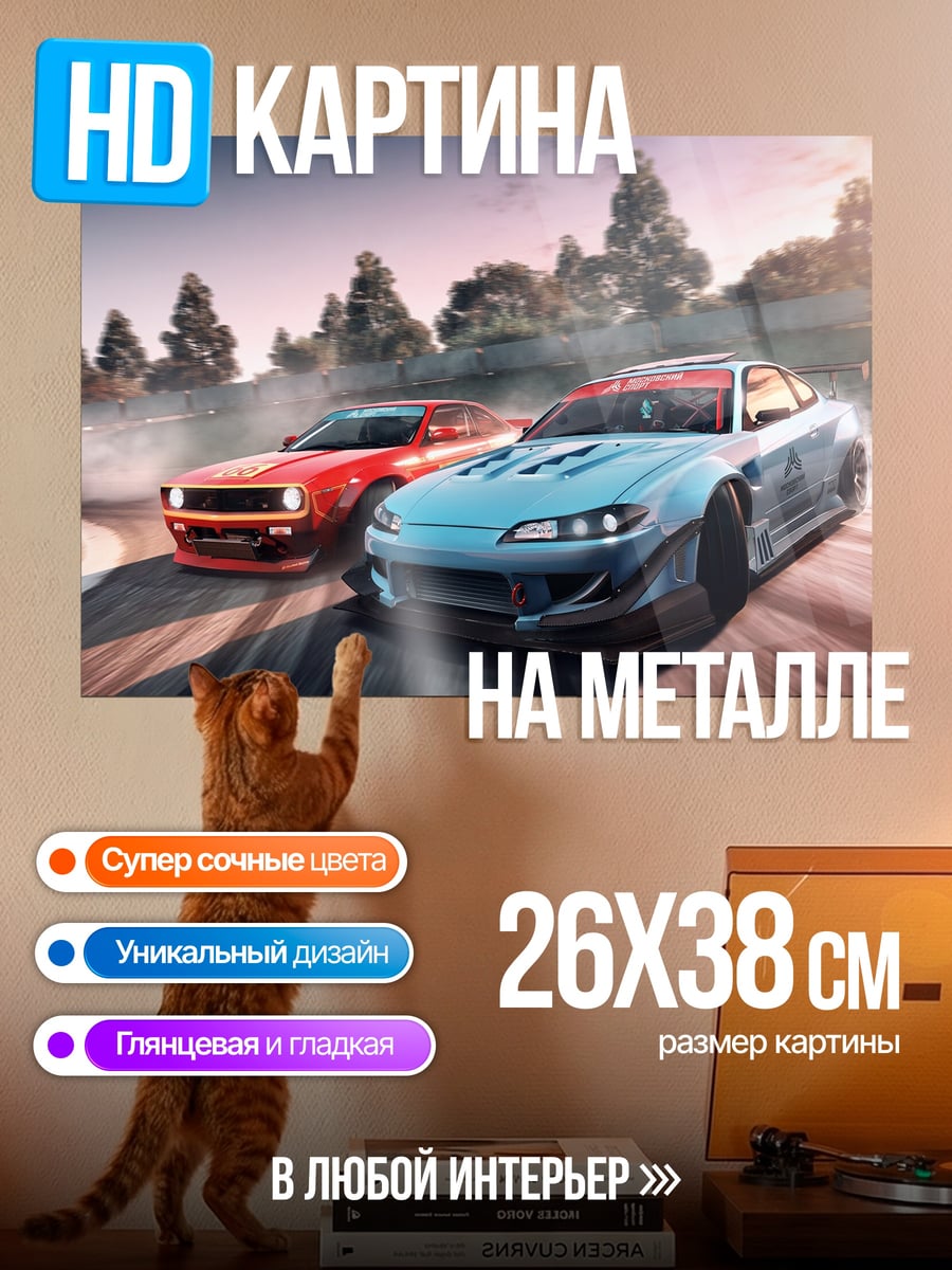Картина на металле Дрифт гонки