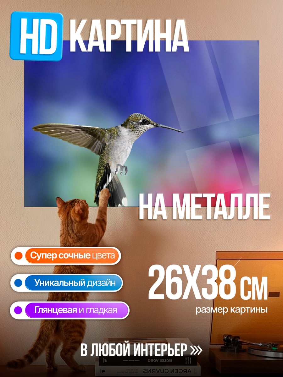 Картина на металле Колибри в полете