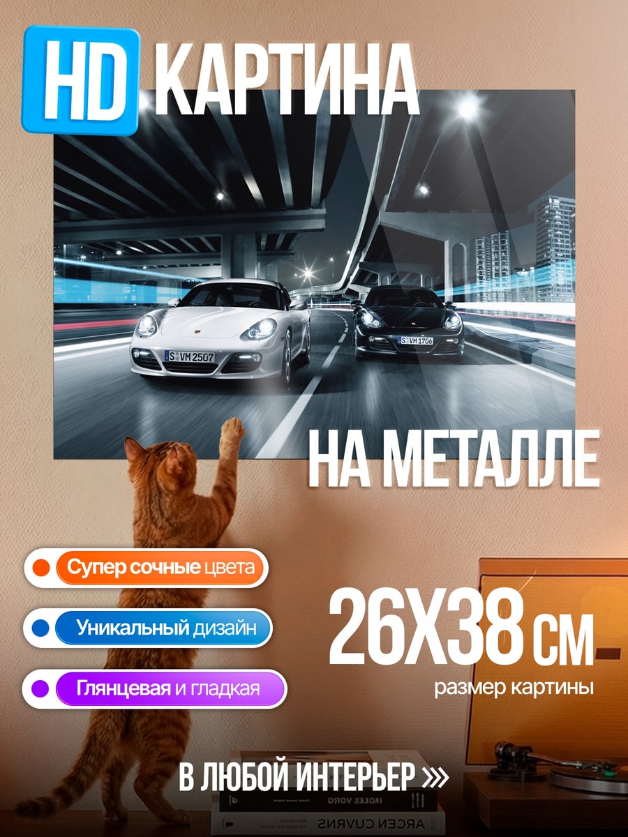 Картина на металле Ночная гонка