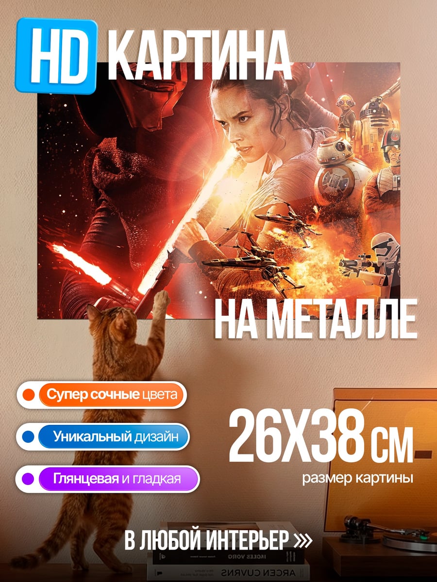 Картина на металле Рей и Кайло Рен