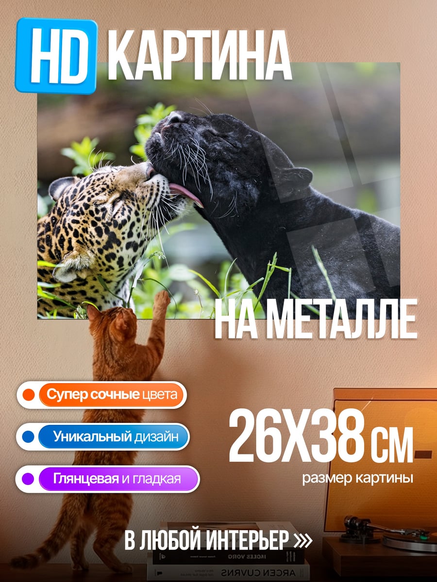 Картина на металле Черная пантера и ягуар