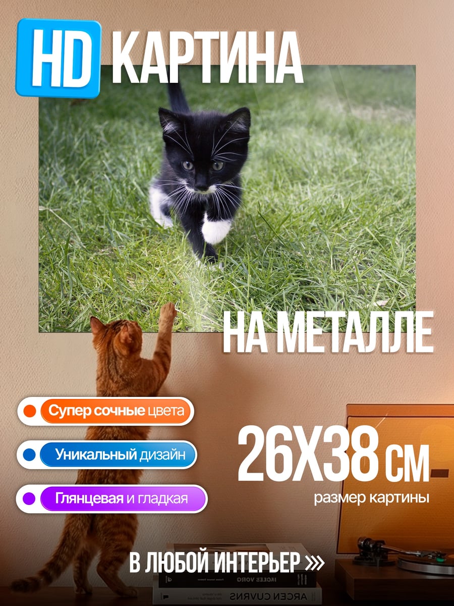Картина на металле Черный котенок