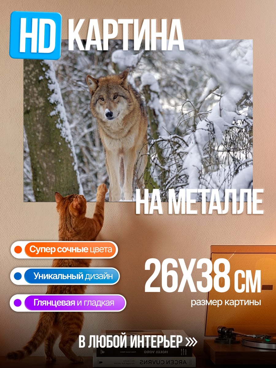 Картина на металле Волк в снегу
