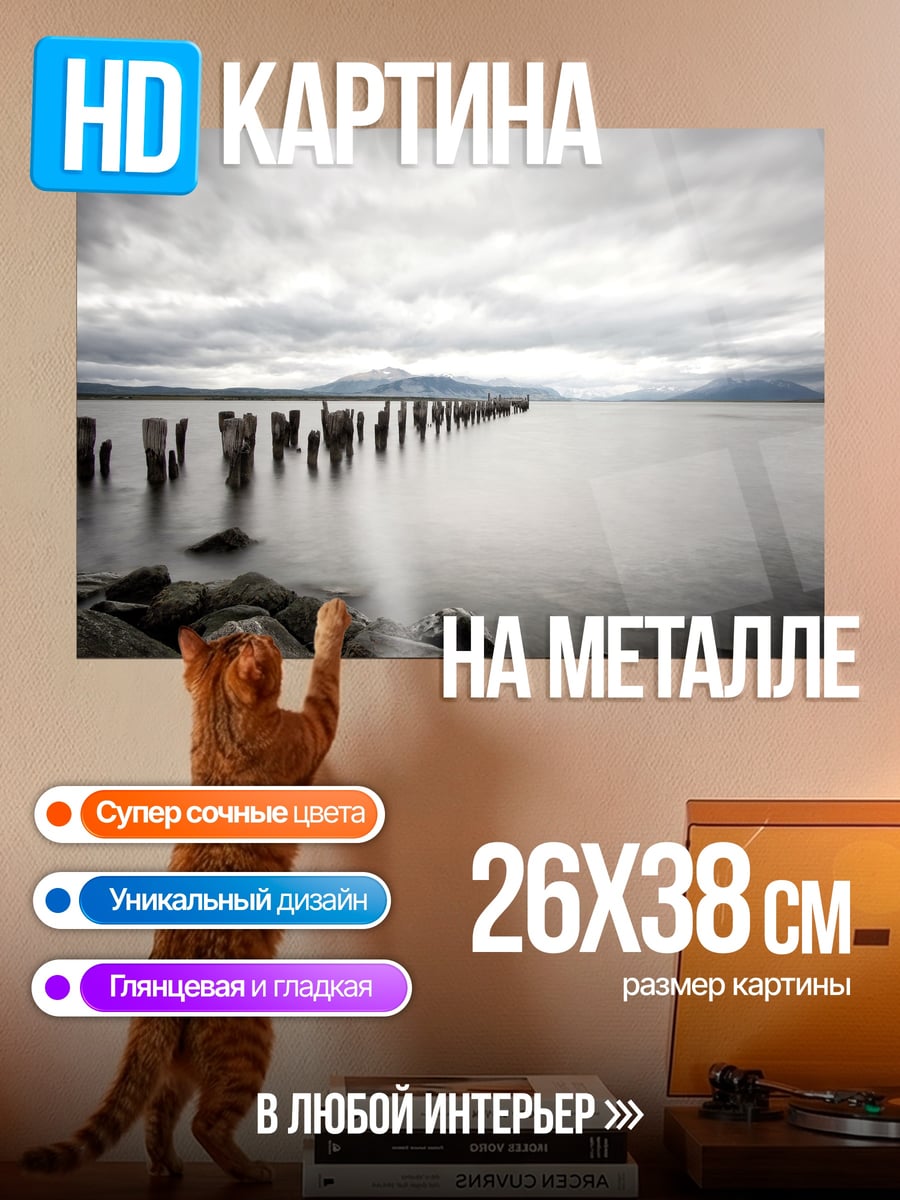Картина на металле Старый пирс