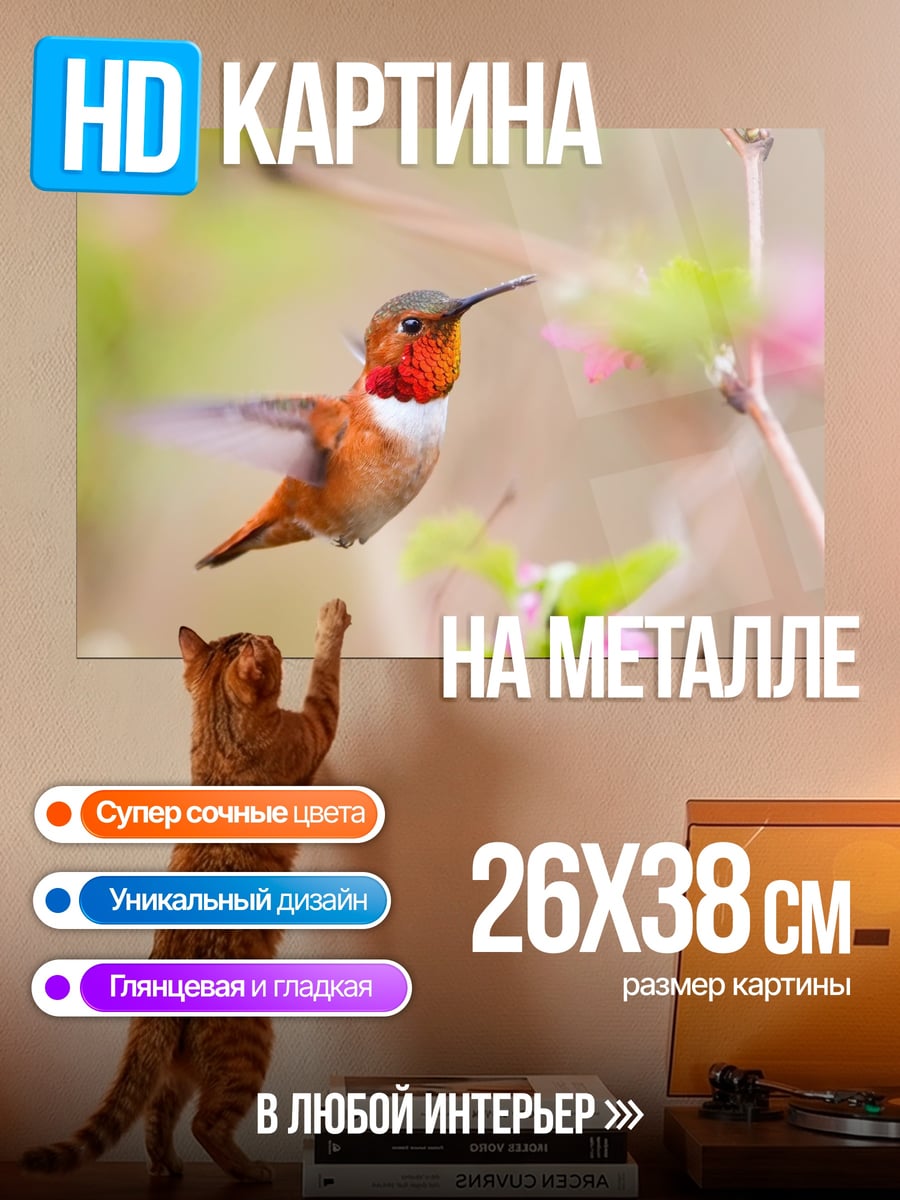 Картина на металле Колибри в полете