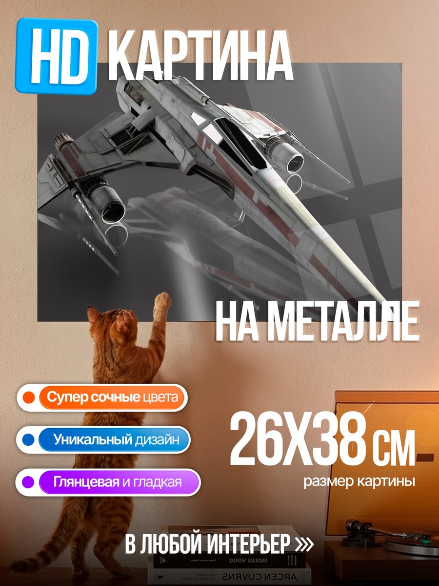 Картина на металле Космический корабль