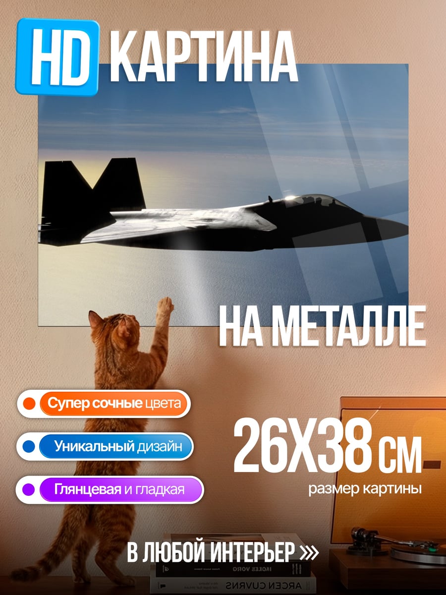 Картина на металле Боевой самолет