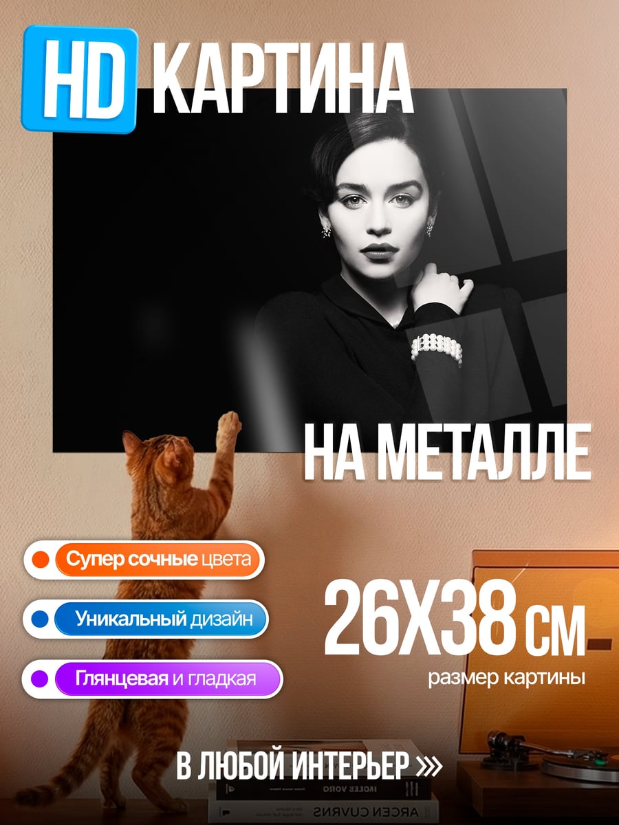 Картина на металле Черно-белая модель